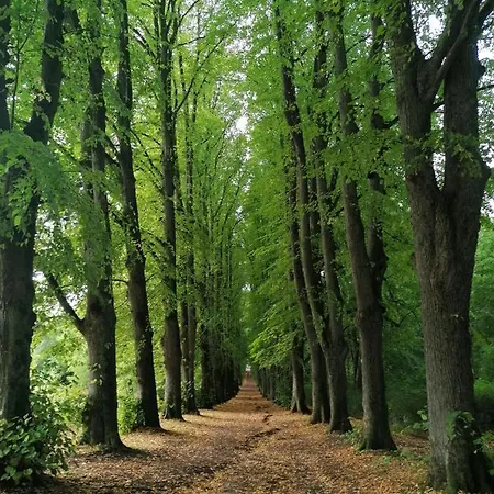 Apartamento An Der Hufeland-therme *