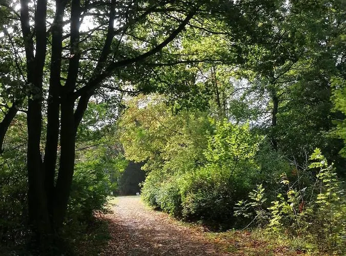 Apartment An Der Hufeland-therme *